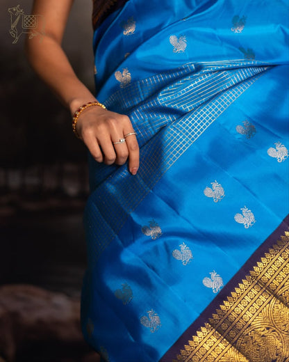 Sky Blue Kanjivaram Silk Saree with Rich Gold Zari Border