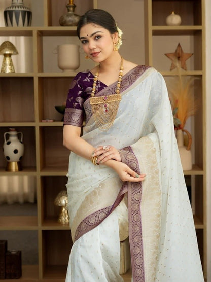Soft Banarasi Silk Saree with Rich Zari Woven Border & Running Blouse | Wedding, Festive & Party Wear | 5 Colors