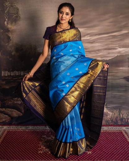 Sky Blue Kanjivaram Silk Saree with Rich Gold Zari Border