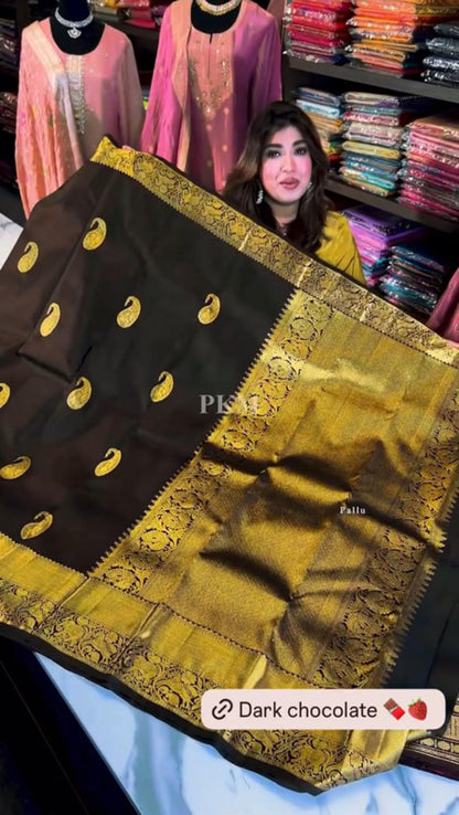 Dark Chocolate Banarasi Soft Silk Saree with Rich Golden Zari Border | Traditional Wedding & Festive Wear