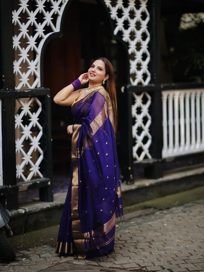 Linen Cotton Silk Saree With Grand Pallu & Jacquard Detailing