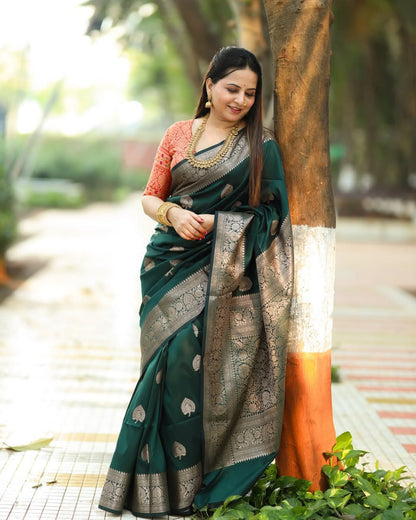 Banarasi Soft Silk Saree With Minimal Weave & Classic Charm