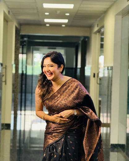 Black Banarasi Soft Silk Saree with Copper Zari Weaving