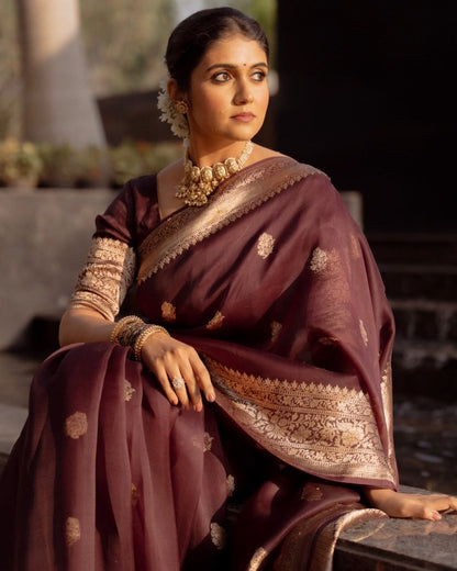 Brown Banarasi Soft Silk Saree with Gold Zari Weaving