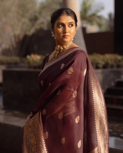 Brown Banarasi Soft Silk Saree with Gold Zari Weaving
