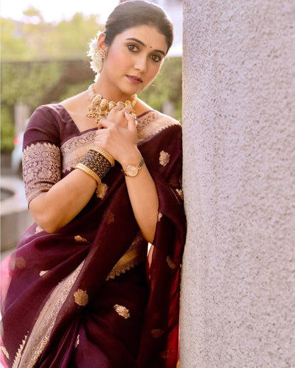 Brown Banarasi Soft Silk Saree with Gold Zari Weaving