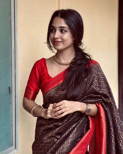 Black Banarasi Soft Silk Saree with Red Border & Gold Zari Weaving