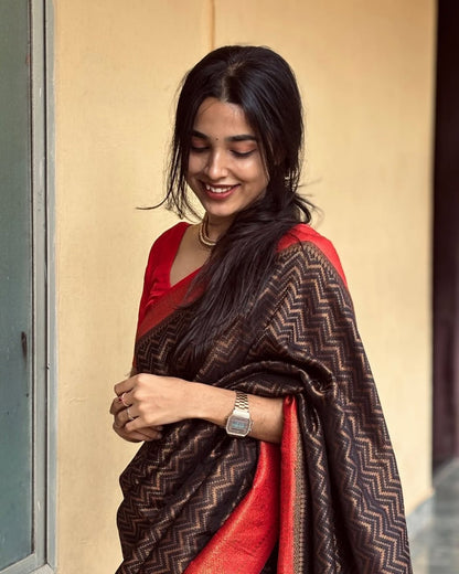 Black Banarasi Soft Silk Saree with Red Border & Gold Zari Weaving