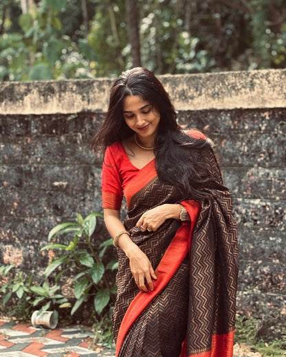Black Banarasi Soft Silk Saree with Red Border & Gold Zari Weaving