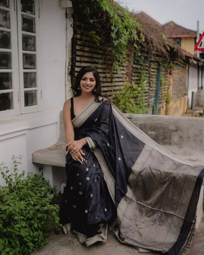 Black Banarasi Soft Silk Saree with Silver Zari Weaving