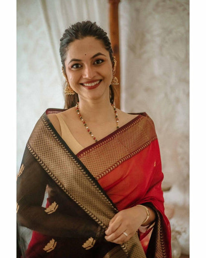 Red Banarasi Soft Silk Saree with Gold Zari Weaving