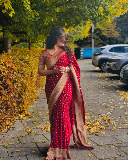 Crimson Red Banarasi Soft Silk Saree with Golden Border