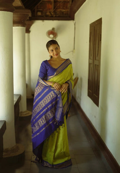 Diara Regal Banarasi Soft Silk Saree