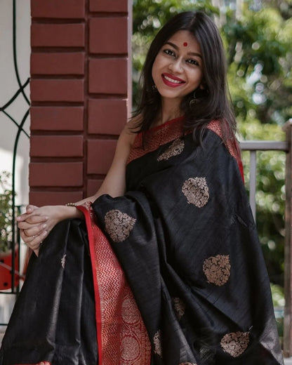 Regal Black Banarasi Silk Saree with Rich Red Zari Border – Perfect for Wedding & Festive Celebrations