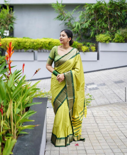 Parrot Green Banarasi Soft Silk Saree with Contrast Zari Border