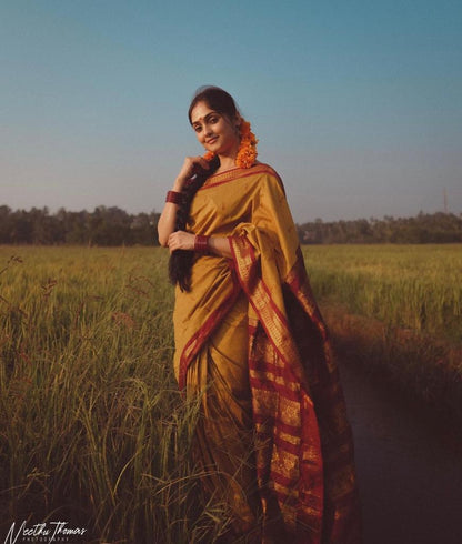 Traditional Handwoven Banarasi Soft Silk Saree Collection