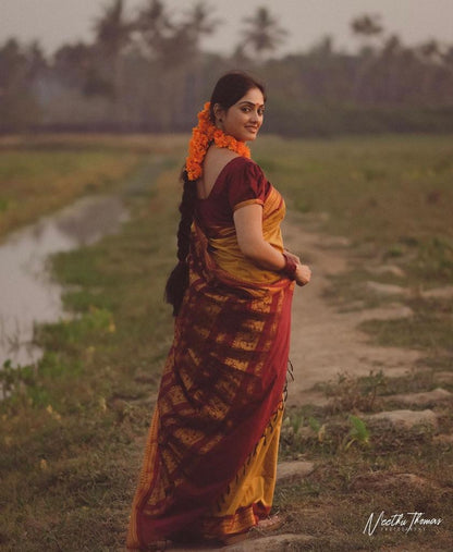 Traditional Handwoven Banarasi Soft Silk Saree Collection