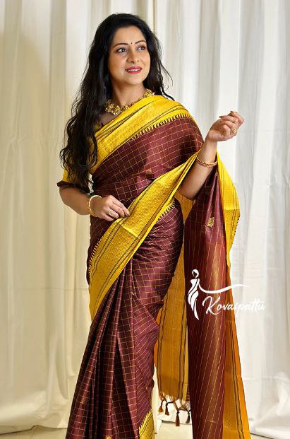 Banarasi Soft Silk Saree with Golden Zari Border ✨