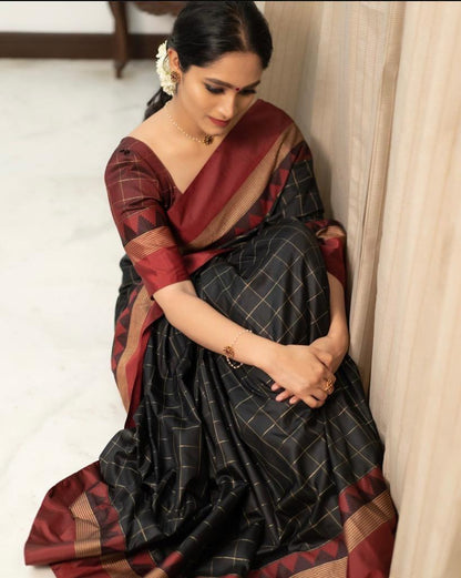 Classic Banarasi Checkered Silk Saree Collection – 6 Elegant Shades